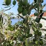 Appartement Katic Ražanj