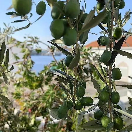 Apartmán Katic Ražanj