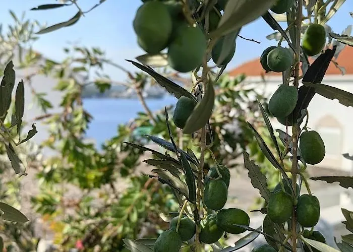 דירה Katic Ražanj